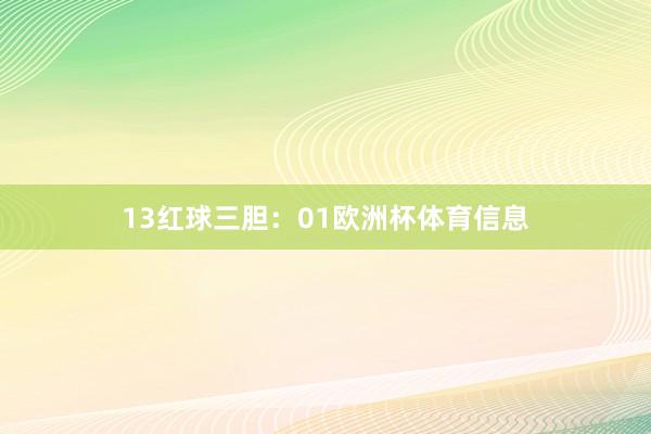 13　　红球三胆：01欧洲杯体育信息