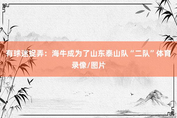 有球迷捉弄：海牛成为了山东泰山队“二队”体育录像/图片