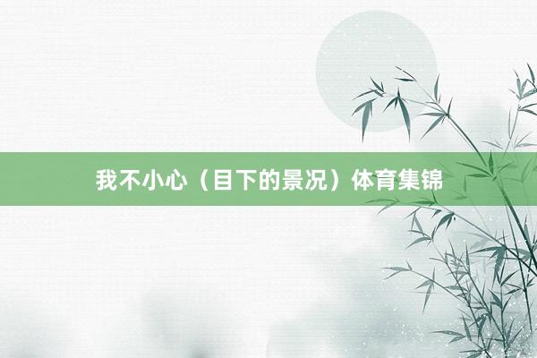 我不小心(目下的景况)体育集锦