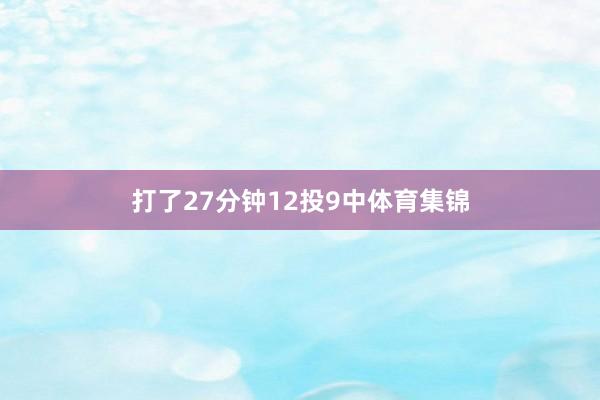 打了27分钟12投9中体育集锦