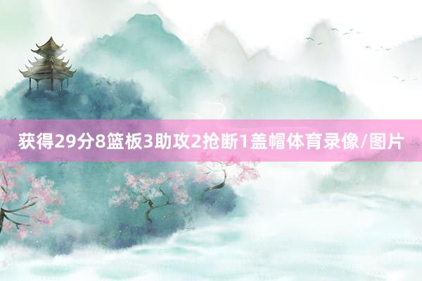 获得29分8篮板3助攻2抢断1盖帽体育录像/图片