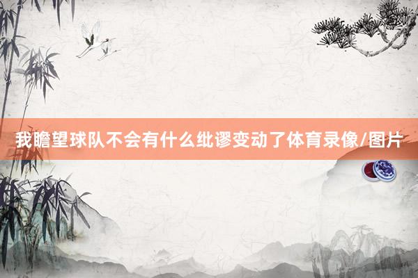 我瞻望球队不会有什么纰谬变动了体育录像/图片