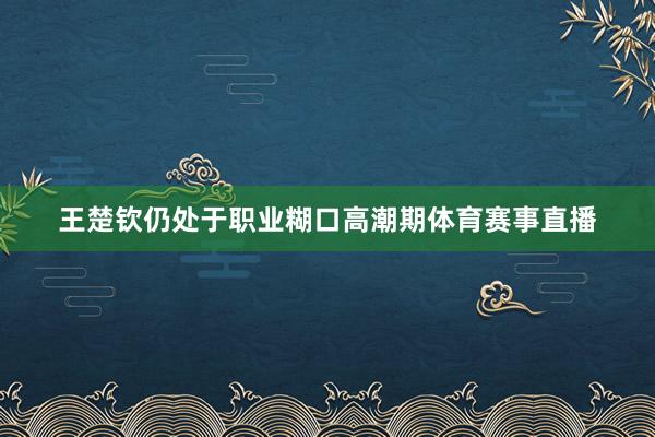 王楚钦仍处于职业糊口高潮期体育赛事直播