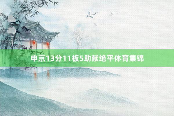 申京13分11板5助献绝平体育集锦