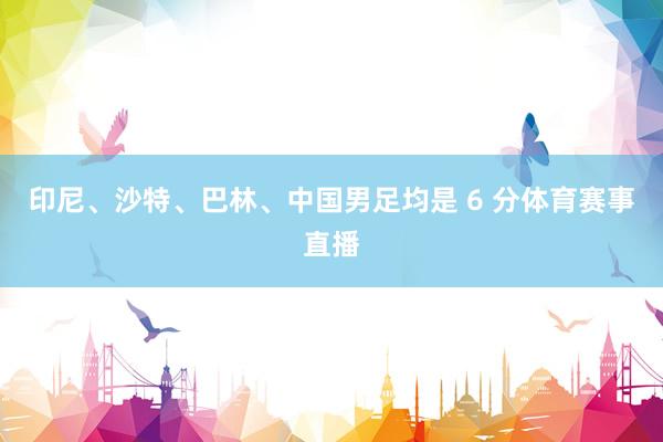 印尼、沙特、巴林、中国男足均是 6 分体育赛事直播