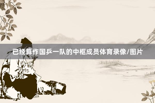 已经算作国乒一队的中枢成员体育录像/图片