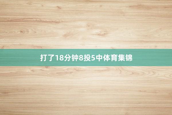 打了18分钟8投5中体育集锦