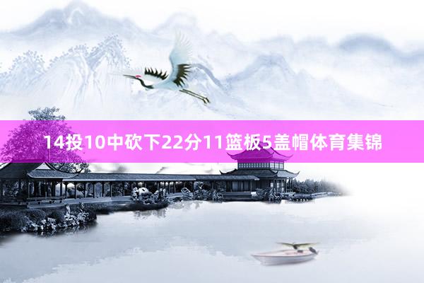 14投10中砍下22分11篮板5盖帽体育集锦