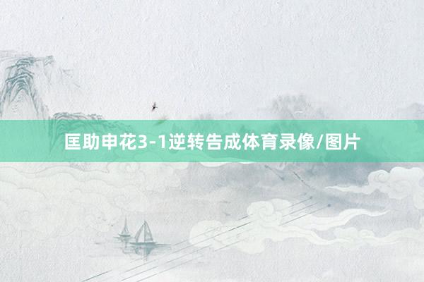 匡助申花3-1逆转告成体育录像/图片
