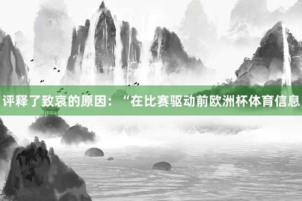 评释了致哀的原因：“在比赛驱动前欧洲杯体育信息