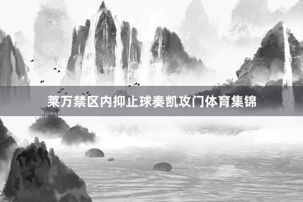 莱万禁区内抑止球奏凯攻门体育集锦