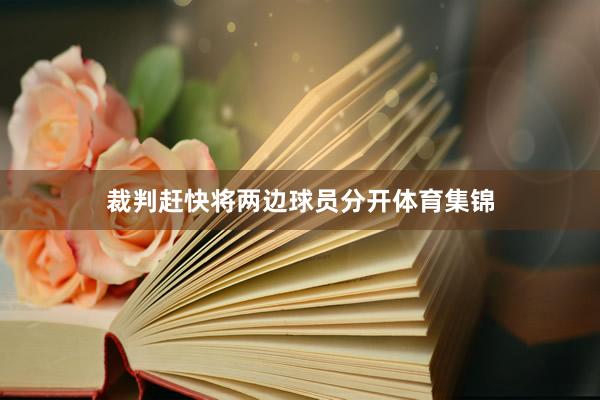 裁判赶快将两边球员分开体育集锦