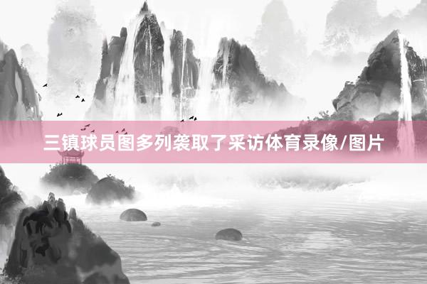 三镇球员图多列袭取了采访体育录像/图片