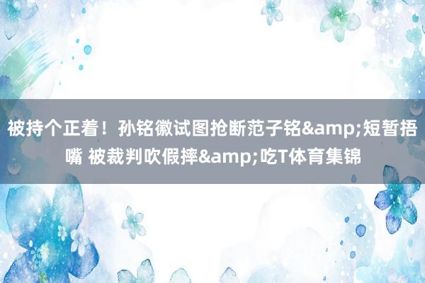 被持个正着！孙铭徽试图抢断范子铭&短暂捂嘴 被裁判吹假摔&吃T体育集锦