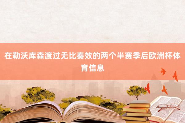 在勒沃库森渡过无比奏效的两个半赛季后欧洲杯体育信息