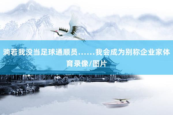 淌若我没当足球通顺员……我会成为别称企业家体育录像/图片