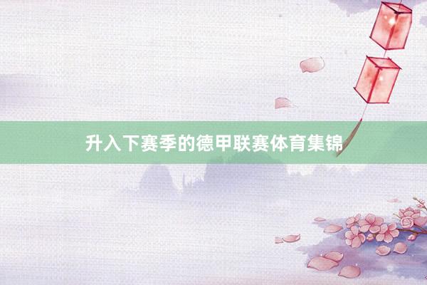 升入下赛季的德甲联赛体育集锦