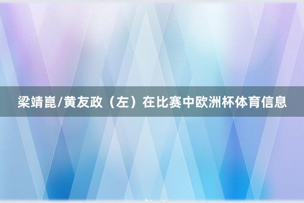 梁靖崑/黄友政（左）在比赛中欧洲杯体育信息