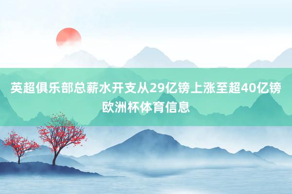 英超俱乐部总薪水开支从29亿镑上涨至超40亿镑欧洲杯体育信息