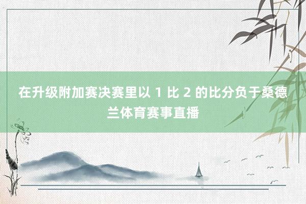 在升级附加赛决赛里以 1 比 2 的比分负于桑德兰体育赛事直播