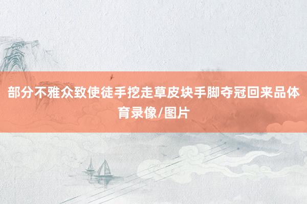 部分不雅众致使徒手挖走草皮块手脚夺冠回来品体育录像/图片