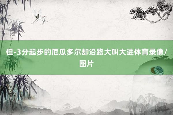 但-3分起步的厄瓜多尔却沿路大叫大进体育录像/图片