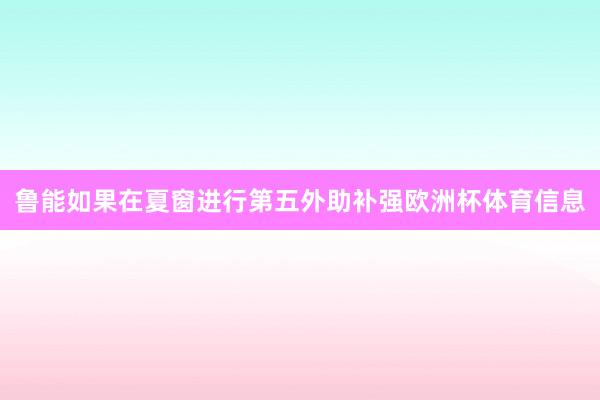 鲁能如果在夏窗进行第五外助补强欧洲杯体育信息