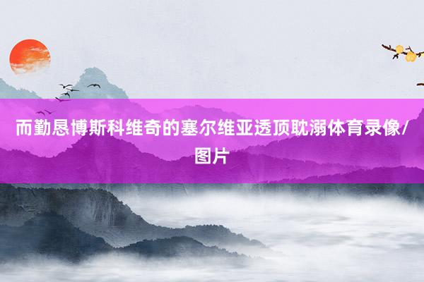 而勤恳博斯科维奇的塞尔维亚透顶耽溺体育录像/图片