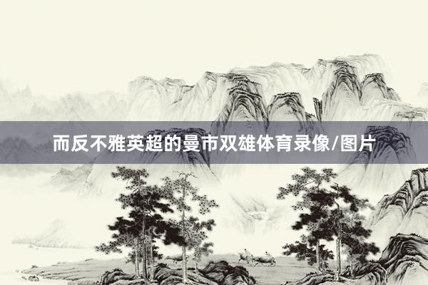 而反不雅英超的曼市双雄体育录像/图片