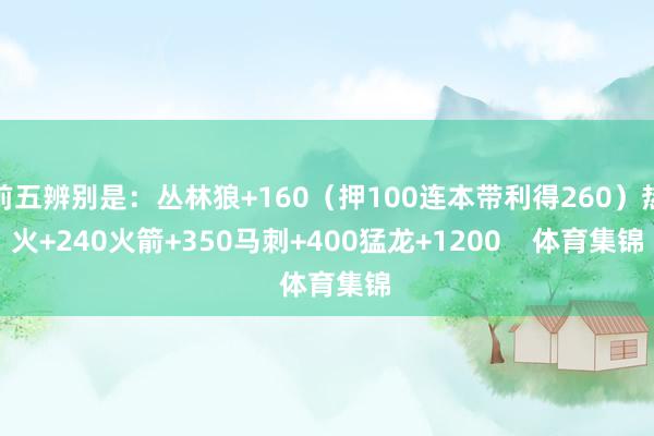 前五辨别是：　　丛林狼+160（押100连本带利得260）　　热火+240　　火箭+350　　马刺+400　　猛龙+1200    体育集锦