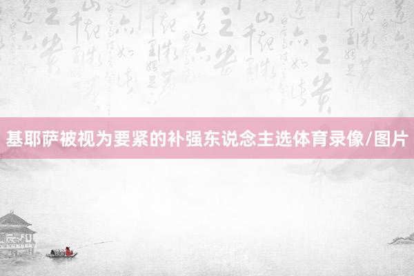 基耶萨被视为要紧的补强东说念主选体育录像/图片
