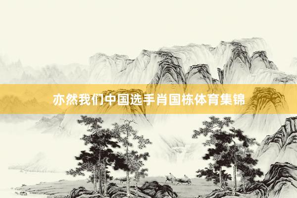 亦然我们中国选手肖国栋体育集锦
