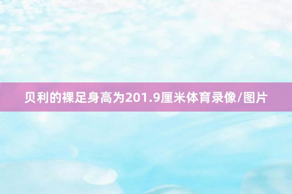 贝利的裸足身高为201.9厘米体育录像/图片
