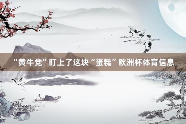“黄牛党”盯上了这块“蛋糕”欧洲杯体育信息