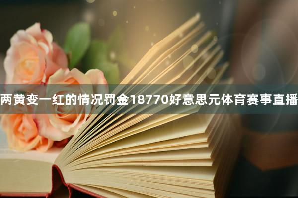 两黄变一红的情况罚金18770好意思元体育赛事直播