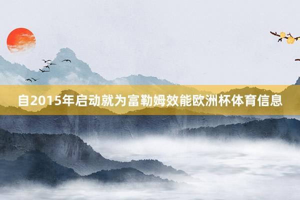 自2015年启动就为富勒姆效能欧洲杯体育信息