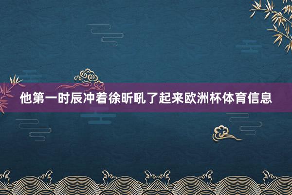 他第一时辰冲着徐昕吼了起来欧洲杯体育信息