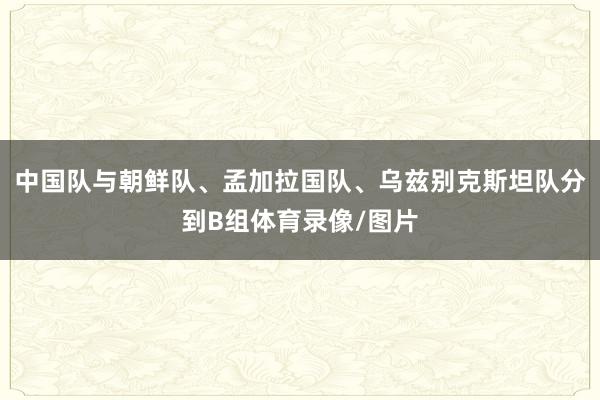 中国队与朝鲜队、孟加拉国队、乌兹别克斯坦队分到B组体育录像/图片