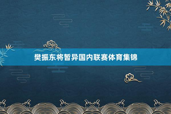 樊振东将暂异国内联赛体育集锦