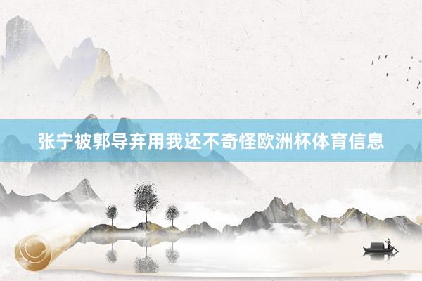 张宁被郭导弃用我还不奇怪欧洲杯体育信息