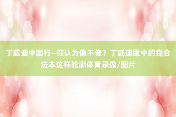 丁威迪中国行—你认为像不像？丁威迪眼中的我合法本这样轮廓体育录像/图片