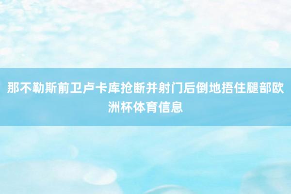 那不勒斯前卫卢卡库抢断并射门后倒地捂住腿部欧洲杯体育信息
