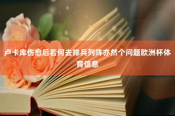 卢卡库伤愈后若何去排兵列阵亦然个问题欧洲杯体育信息