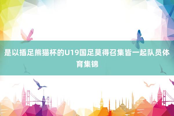 是以插足熊猫杯的U19国足莫得召集皆一起队员体育集锦