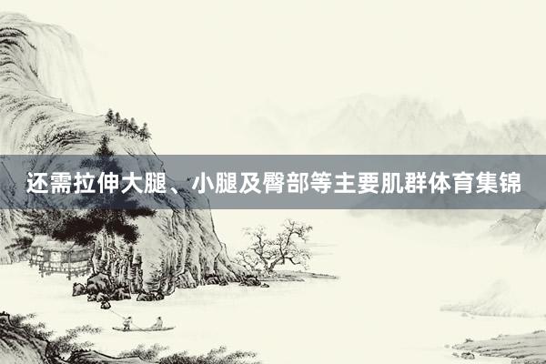 还需拉伸大腿、小腿及臀部等主要肌群体育集锦