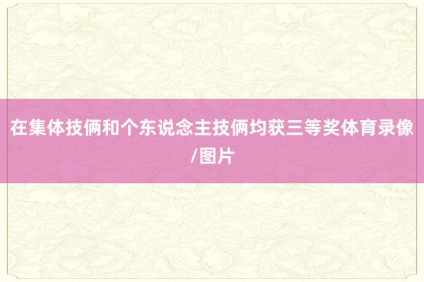 在集体技俩和个东说念主技俩均获三等奖体育录像/图片