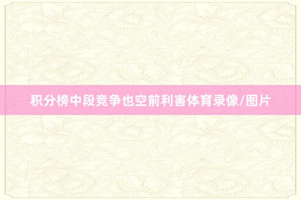 积分榜中段竞争也空前利害体育录像/图片