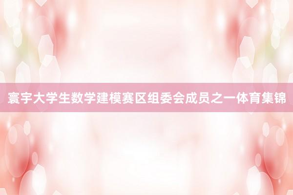 寰宇大学生数学建模赛区组委会成员之一体育集锦