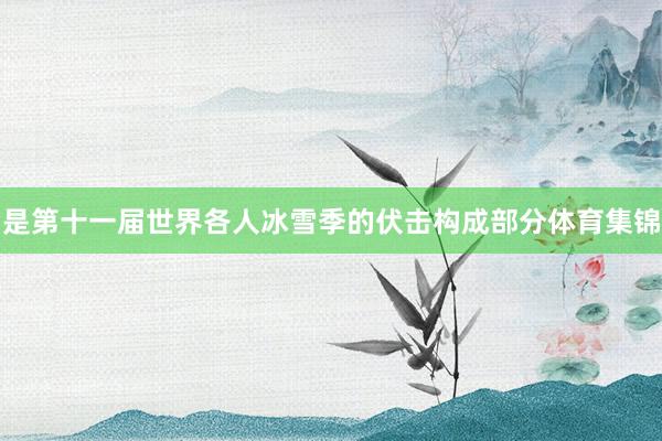 是第十一届世界各人冰雪季的伏击构成部分体育集锦