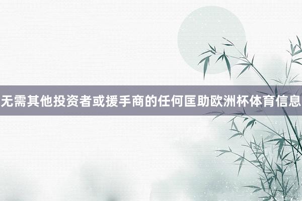 无需其他投资者或援手商的任何匡助欧洲杯体育信息
